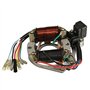 Alamor 50Cc 110Cc 125Cc 2 Bobine ATV Quad Stator Bobine D'Allumage Plaque Magnéto Chinoise