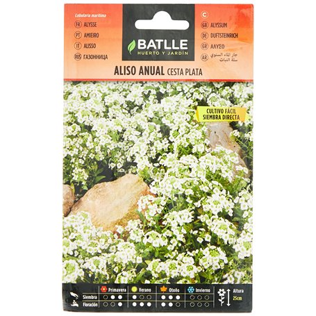 Batlle Alysson Corbeille D’Argent