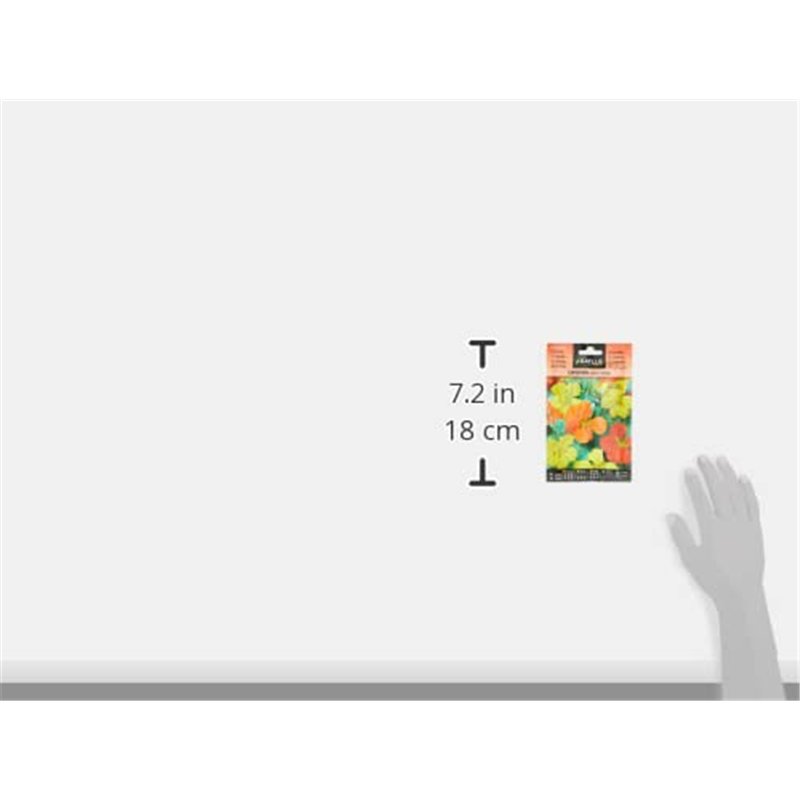 Image secondaire de Batlle Capucine NAINE