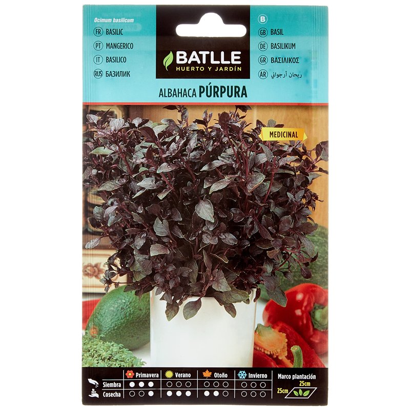Graines aromatiques de Batlle - Basilic pourpre (2g), violet