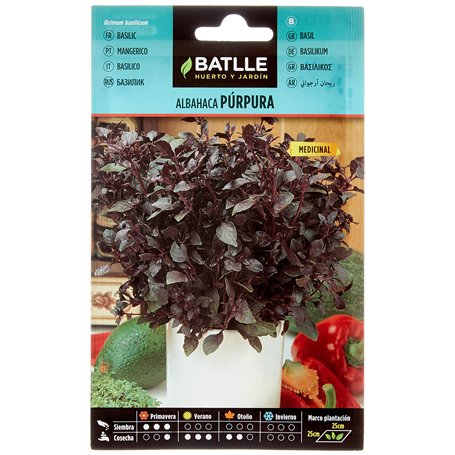 Graines aromatiques de Batlle - Basilic pourpre (2g)