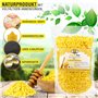 100% Pure Cire d’abeille Pastilles - 200 g - Parfait pour les cosmétiques et la fabrication de bougies