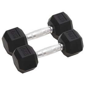 vidaXL Haltères 2 pcs 12 kg Fonte