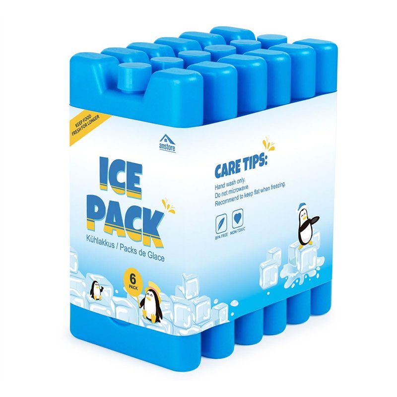 Anstore Lot de 6 Pains de Glace Blocs Réfrigérants de 16 x 9 x 2 cm/210 ML, Blocs Réfrigérants pour Glacières, Réutilisable Conc