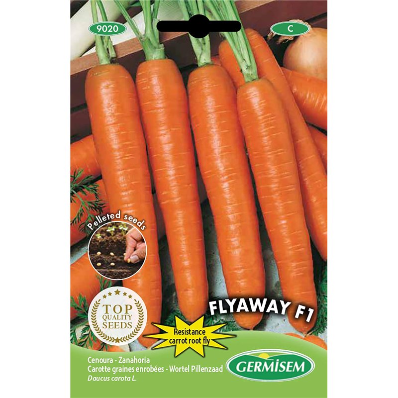 Germisem Carotte graines enrobées, résistant à la mouche de la carotte FLYAWAY F1