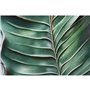 Cadre Home ESPRIT Vert Palmiers Tropical 80 x 3,5 x 120 cm (2 Unités)