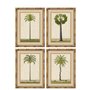 Cadre Home ESPRIT Vert Naturel Palmiers Tropical 45 x 2