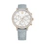Montre Homme Swarovski 5702851 Argenté