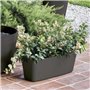Jardiniere - DEROMA - Origin - 18 L - Anthracite