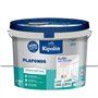 Peinture plafonds - Blanc mat - Sans trace - RIPOLIN - 10L
