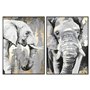 Cadre DKD Home Decor Blanc Noir Gris Doré Eléphant Colonial 100 x 4 x 140 cm (2 Unités)