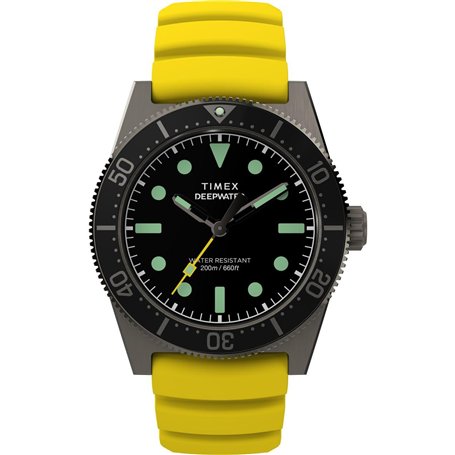 Timex Watch TW2W74800
