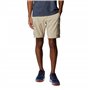 Columbia Homme Trousers, Ancient Fossil, 32 EU