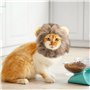 Crinière de Lion pour Chien, Chat Chien Perruque Chapeau Costume Creative Mignon Chien Chat Costume Accessoires de Photomaton Ac