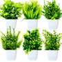 Purpledi 6 Pièces Mini Plantes Artificielles Verdure Plastique Faux Plantes avec Pot