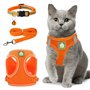 Zhenle Harnais pour Chats avec Laisse et Collier Anti-Fuite