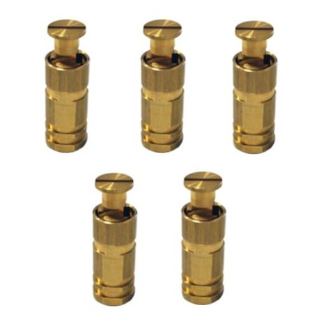 Piton Douille Escamotable - pour Fixation bâche Couverture de Piscine sur Plage béton ou dallage - Alu/INOX - Lot de 5 pièces -
