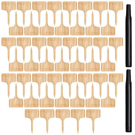 CVDYWDJIE Étiquettes en Bois De 50 Pièces Et Marqueurs De 2 Pièces