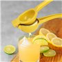 UDNFHL Juicer Au Citron en 2 Pièces, Durable Et Multifonctional Metal Fruit Juicer, Manuel, Outils De Cuisine.