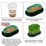 Shengxi 2 Pièces Herbe à Chat Boîte en Plastique, Kit de Culture d'herbe pour Chat Pot de Germination Hydroponique Plateau de Ja