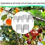 AOMAIGAD 30 Pièces Arbre Branche extracteur,8/10/13 cm,écarteurs de Branches d'arbre fruitier,Support de Branche pour Arbres fru