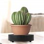 Support Plante Roulette Rond ø 20cm