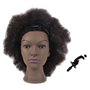 Tcwuzick Tête de mannequin africain américain avec 100 % cheveux humains - Pour la cosmétologie - Cheveux afro - Pour le coiffag
