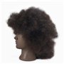 Tcwuzick Tête de mannequin africain américain avec 100 % cheveux humains - Pour la cosmétologie - Cheveux afro - Pour le coiffag