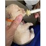 betevie Lot de 6 tétines avec seringues pour chiot, chaton, écureuils et autres animaux de compagnie