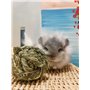 Camiter 6 Pièces Boule d'herbe de Timothy, Jouets Mâcher Hamster, Jouets à Mâcher pour Petits Animaux, pour Lapins Hamsters Chin
