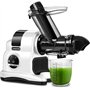 AMZCHEF Extracteur de jus à goulotte large de 80 mm - 150W extracteur de jus de fruits et légumes haute nutrition à mastication