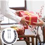 Coffret Cadeau avec Décoration en Paille, Contient Fers à Cheval en Fonte Durable avec 5 Trous de Chaque Côté, Fer à Cheval Port