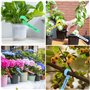 Riisoyu 6 Couleurs Étiquettes d'arbre, 300 Pièces Étiquettes de Plantes en Plastique Reutilisable Suspendus Étiquettes Plantes R