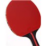 HAFERL Kit de tennis de table avec 2 raquettes et 3 balles dans un sac, idéal pour les enfants et les adultes