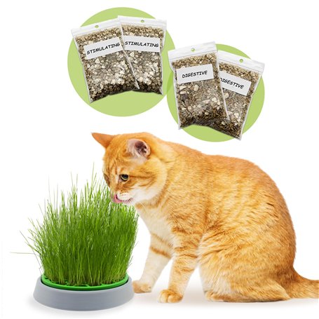R&R SHOP - Kit Cataire Double Graines - Pot de Germination