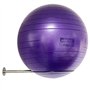 Support Mural en Acier Inoxydable pour Ballon de Yoga et de Stabilité - Rangement Robuste pour Exercices