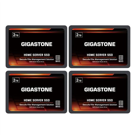 Gigastone Serveur SSD 2To (Lot de 4) NAS SSD Cache 24h/24
