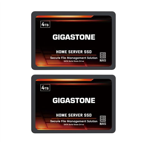 Gigastone Serveur SSD 4To (Lot de 2) NAS SSD Cache 24h/24