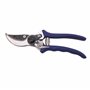 Amazon Basics Sécateur, Bleu