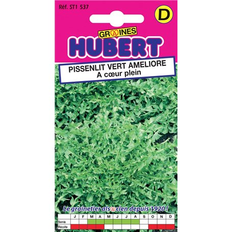 Graines de Pissenlit vert amélioré à coeur plein - 0.8 grammes