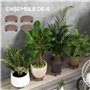 Outsunny Lot de 4 Supports Ronds pour Plantes - Porte Plante à roulettes Support pour Pot de Fleurs, pour intérieur et extérieur