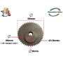 Pièce détachée Origine Constructeur: Pignon Couronne d'entrainement 43 Dents pour Lames de Taille haie orientable Machine Multif