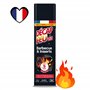 DECAPFOUR Feu Barbecue & Inserts | Mousse Active | Élimine Suie & Graisse Brûlée | Agit en 5 min | Fabriqué en France | Aérosol 