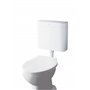 Grohe 37791Sh0 Réservoir de Chasse d'eau 6 Ou 9 Litres Fonction Start/Stop D'Économie d'eau Isolation Anticondensation Blanc (Im