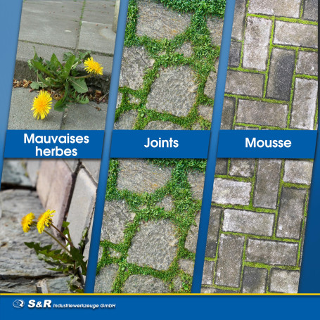 GROHE Start Verre en Cristal pour Salle de Bains