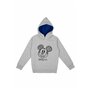 Sweat à Capuche Disney Mickey Mouse pour garçon - Sweat à Capuche pour Enfant Gris (DE/NL/SE/PL