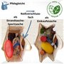Domelo Panier de courses. Sac de shopping en jute. Grand sac de courses, sac de plage imperméable. Sac en jute comme sac de bain