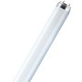 Osram L 18 W Lampe fluorescente 840 25 Pieces