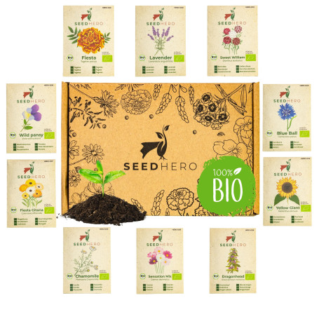 Lot de 10 variétés de graines de fleurs comestibles bio - Graines résistantes aux graines
