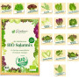 Prademir Graines de salade BIO 16 variétés de graines résistantes aux semences anciennes Graines de salade Set BIO